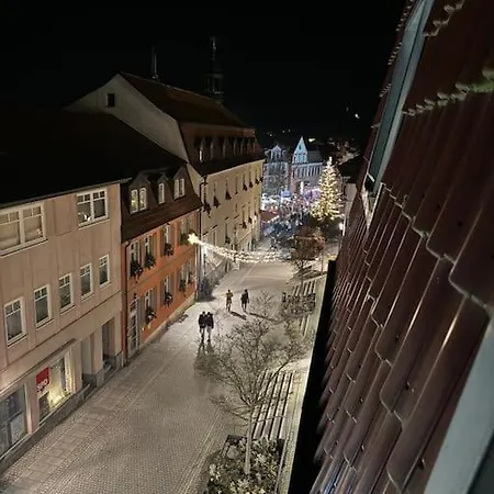 Apartment Innenstadt Am Burgsee *